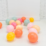 Bag Of Balloons (pick your colors!)